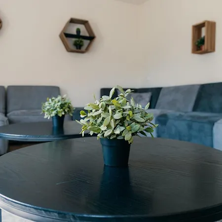 Holiday home Groepsboerderij | 20 Personen Voorthuizen